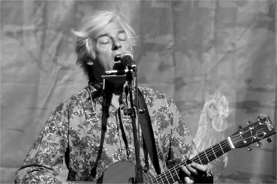 Robyn Hitchcock