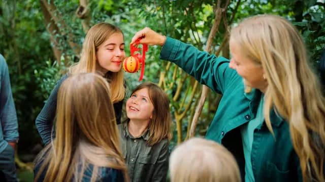 Christmas Plants – a Family Tour in the Botanical Garden