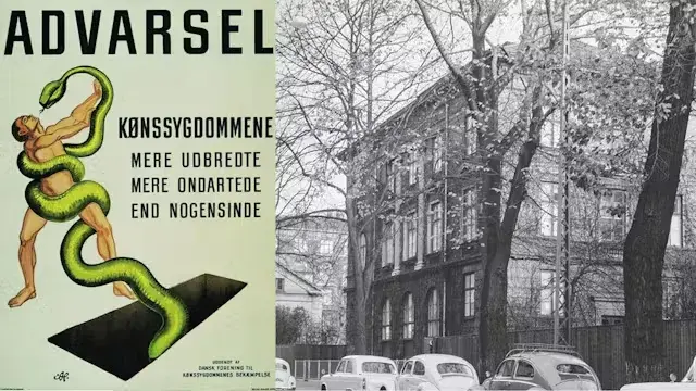 Kampen mod københavnernes kønssygdomme – undersøgelser af unge kvinders hud og kønsdele 1946–1961