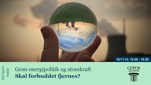 Green Energy Debate: Nuclear Power and Denmark's Future