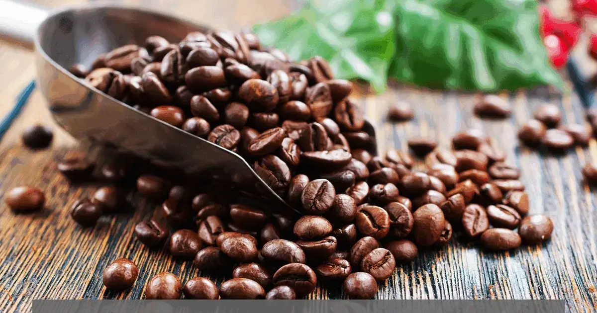 Kaffe – fra plante til kop (livestream fra Aarhus Universitet)