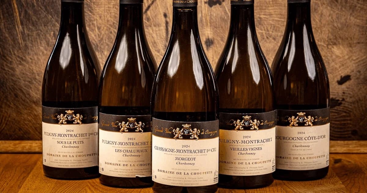 Eksklusiv puligny montrachet event