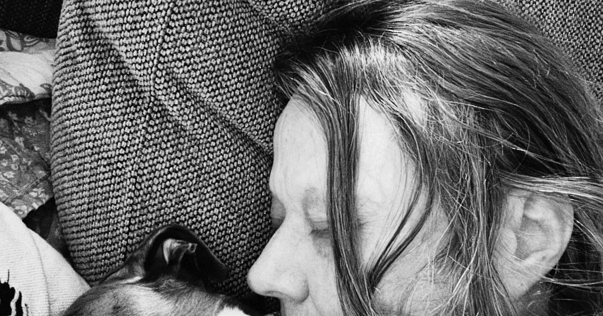 Dyr i litteraturen III: Merete Pryds Helle om hunde