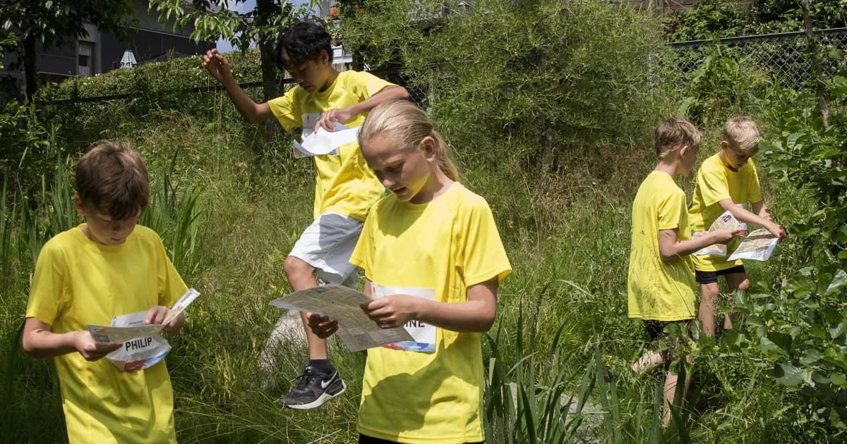AMOK Orienteering Race in Sundbyvester