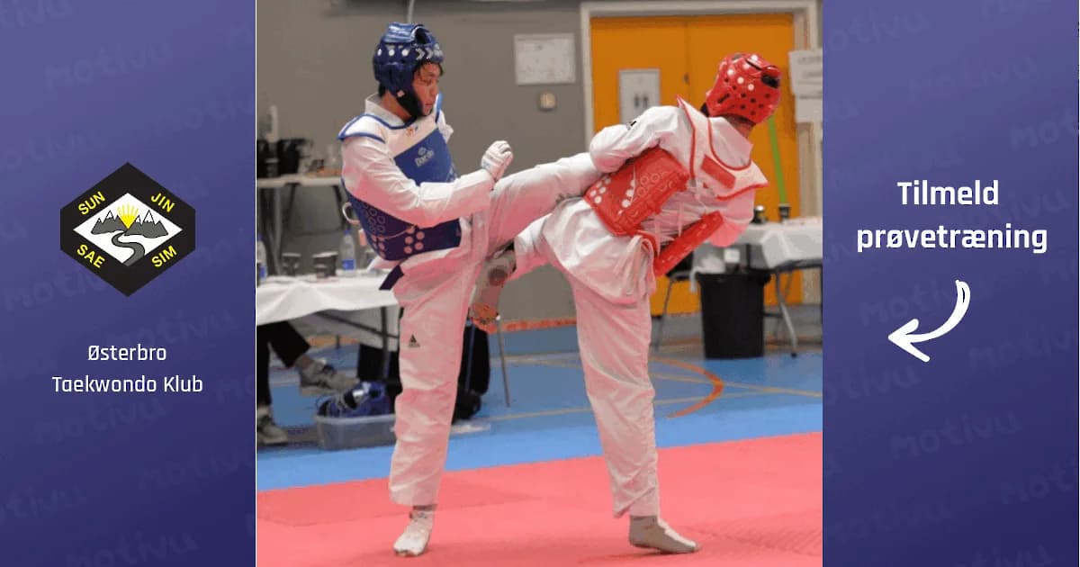 Taekwondo for begyndere