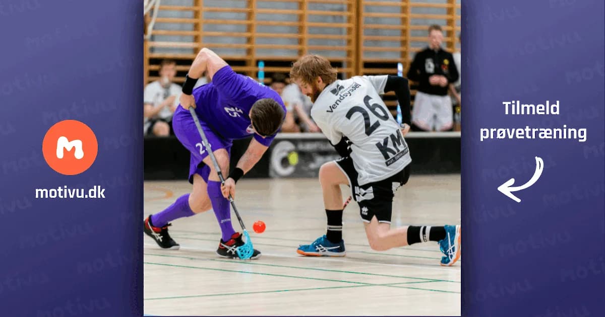 Herre 1 Vanløse (1. div.)
