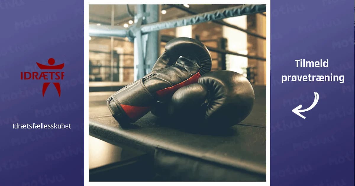 Bobby's Boxing