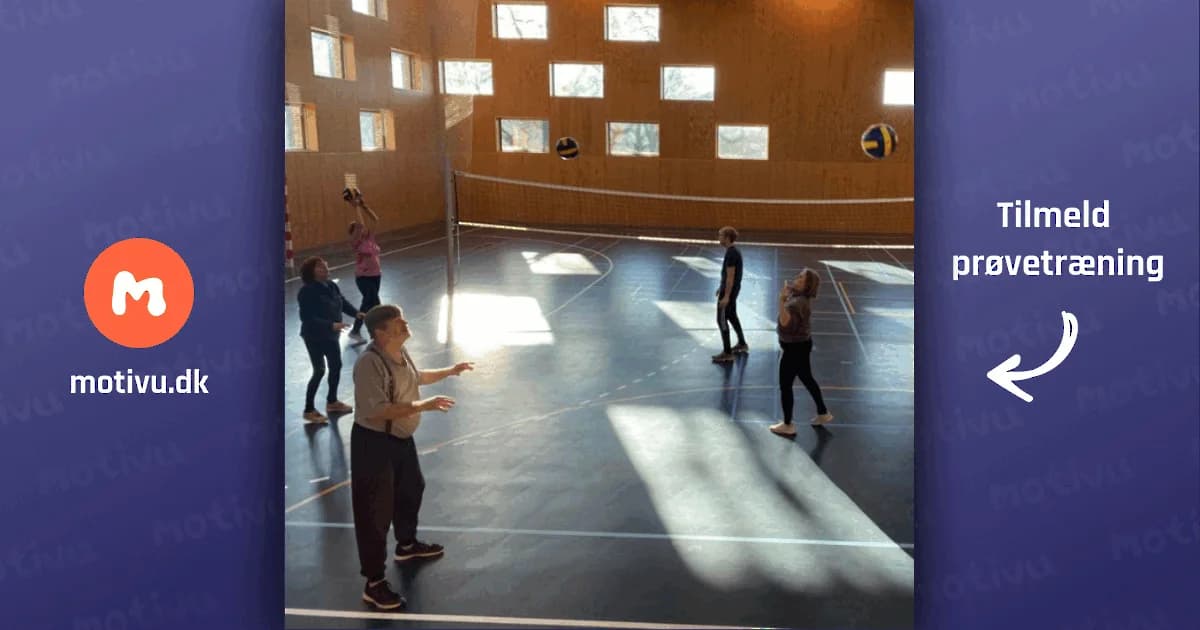 Volleyballtræning for voksne og seniorer