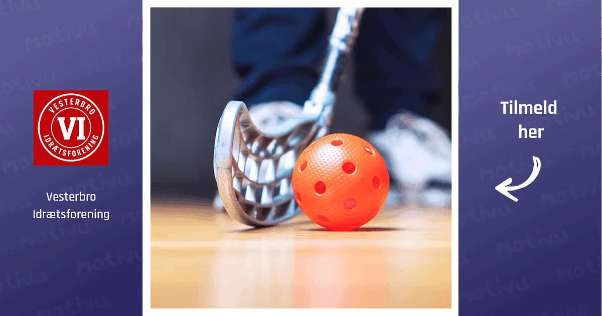 MotionsFloorball for Seniors
