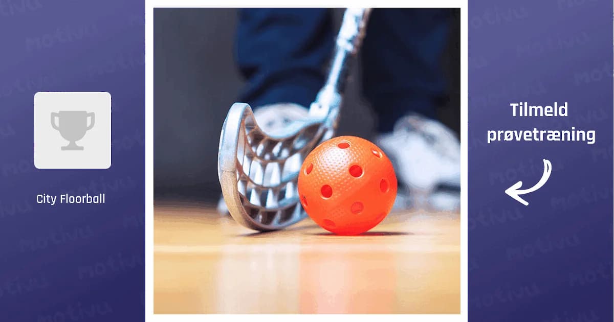 Herremotion – floorball for 30-50 år (Indre København)