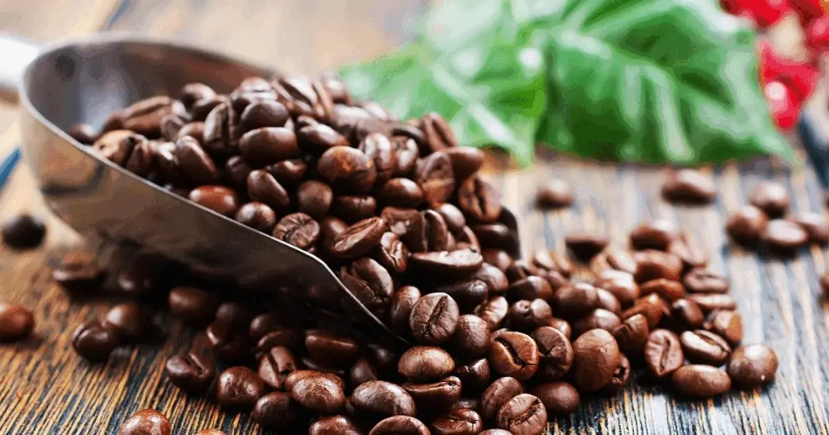 Kaffe - forskerforedrag om plantens biologi, dyrkning og sundhed