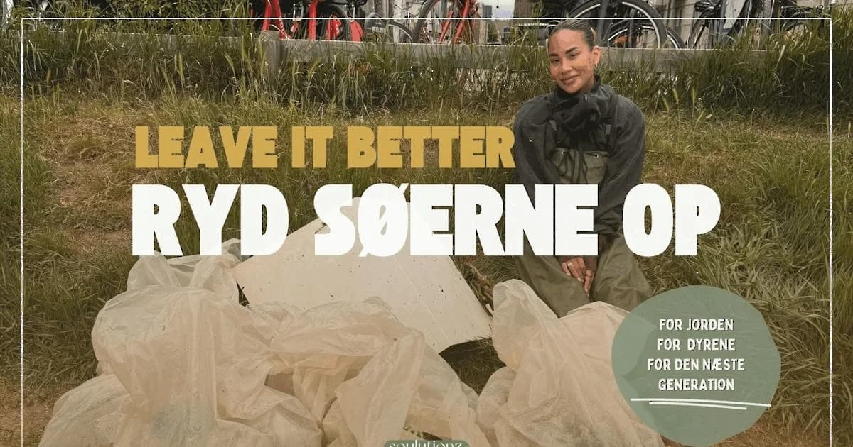 Ryd Søerne - Leave It Better