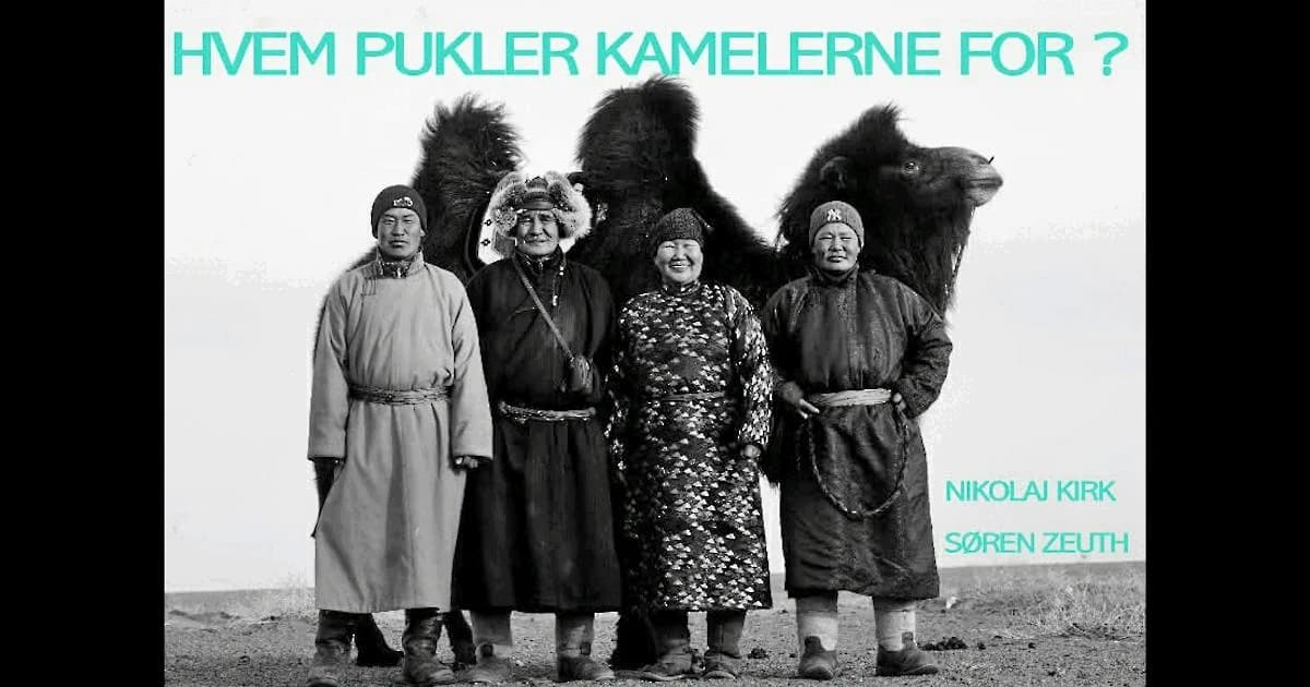 Hvem pukler kamelerne for?