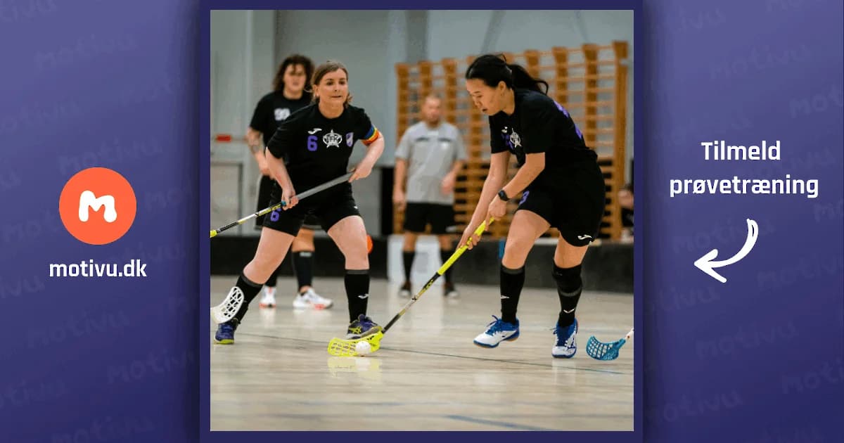 Dame 2 / begynder (2. div.) - Floorballtræning