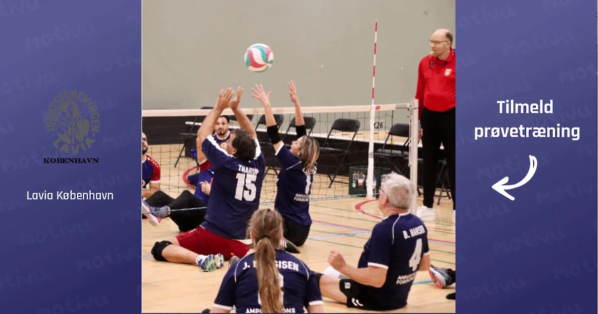Siddende volleyball for alle (+10 år)