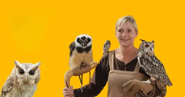 Store Ugledag