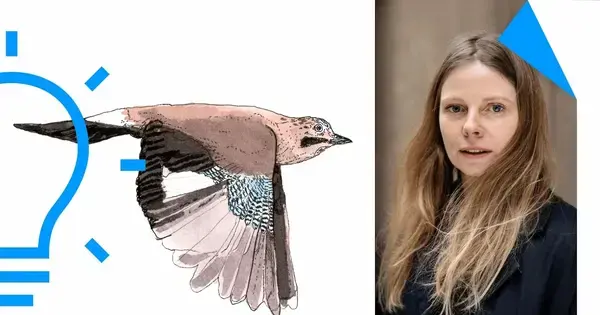 Draw Birds with Signe Parkins – Drawing Workshop for Adults