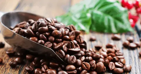 Kaffe via livestream fra Aarhus Universitet