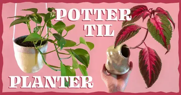Keramik: Potter til planter