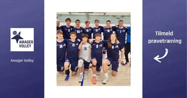 Herre 3 volleyball
