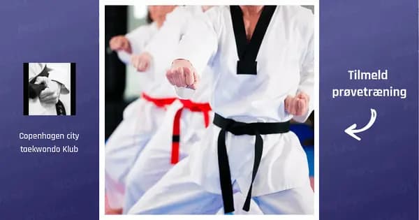 Taekwondo for Beginners (5-12 years)