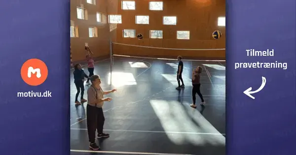 Volleyball for voksne og seniorer