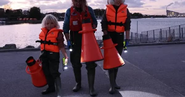 Evening wader tour for the whole family – guided tour