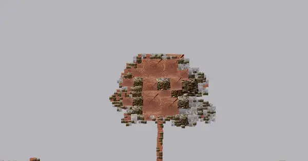 Earth | Tree Sessions: Ovum