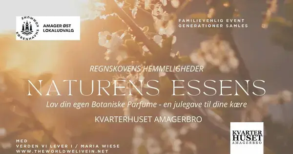 Regnskovens hemmeligheder: skab din egen botaniske parfume