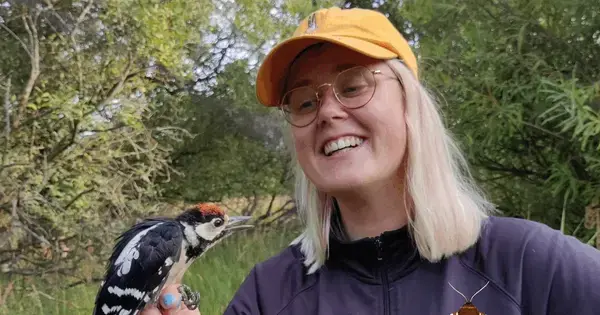 Nattens dyr med biolog Marie Rubæk Holm