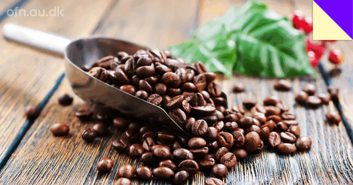 Kaffe – livestream fra Aarhus Universitet
