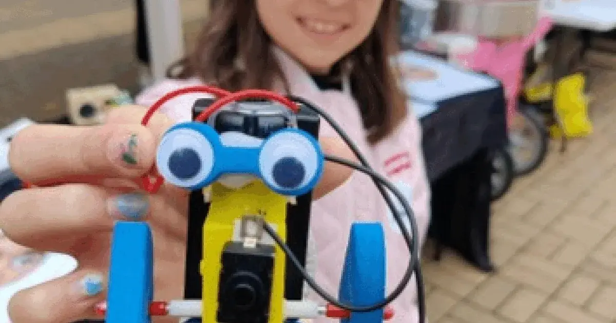 Byg din egen seje mini-robot, Mini-on!
