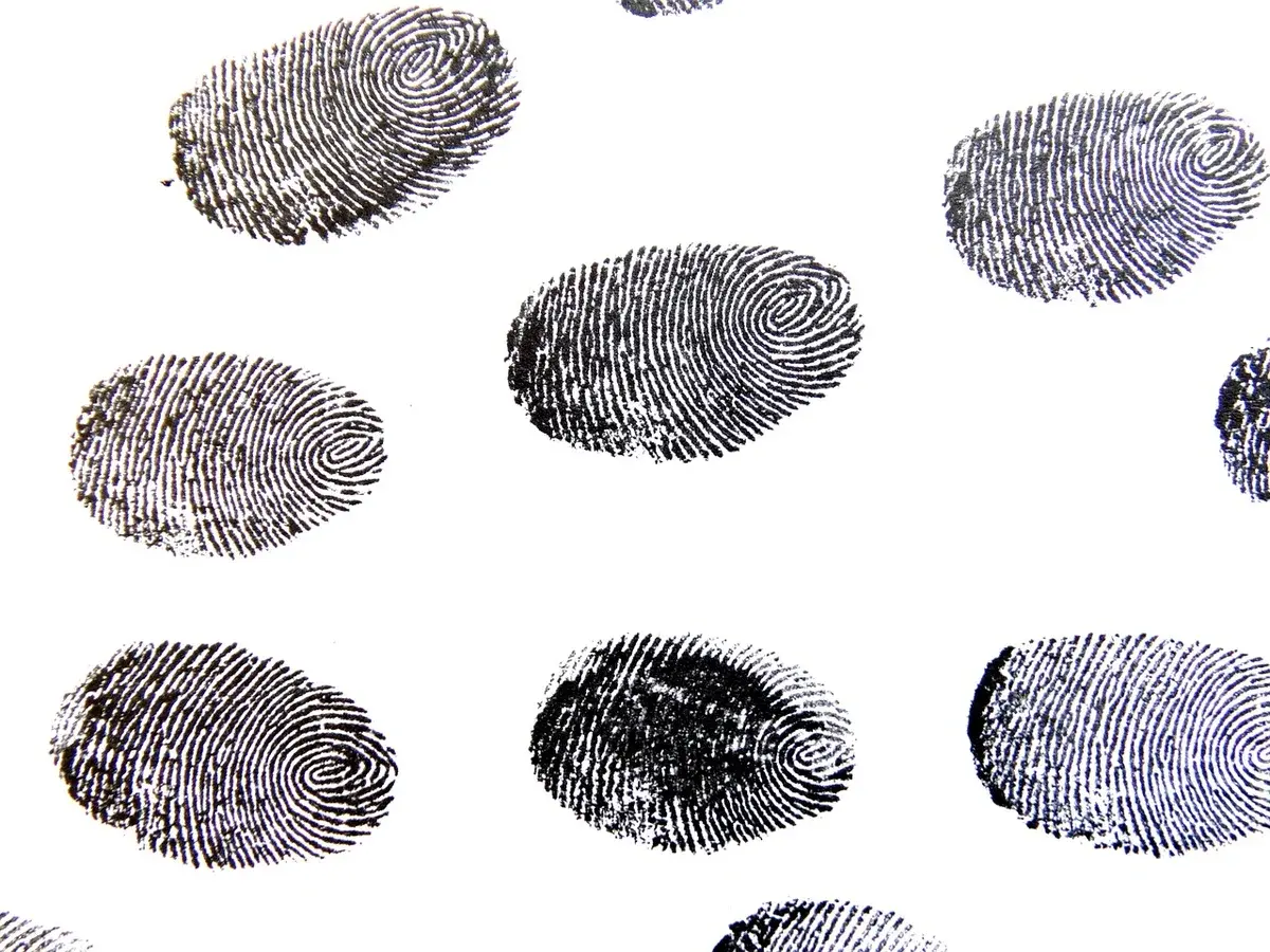 Several black fingerprints on a white background.