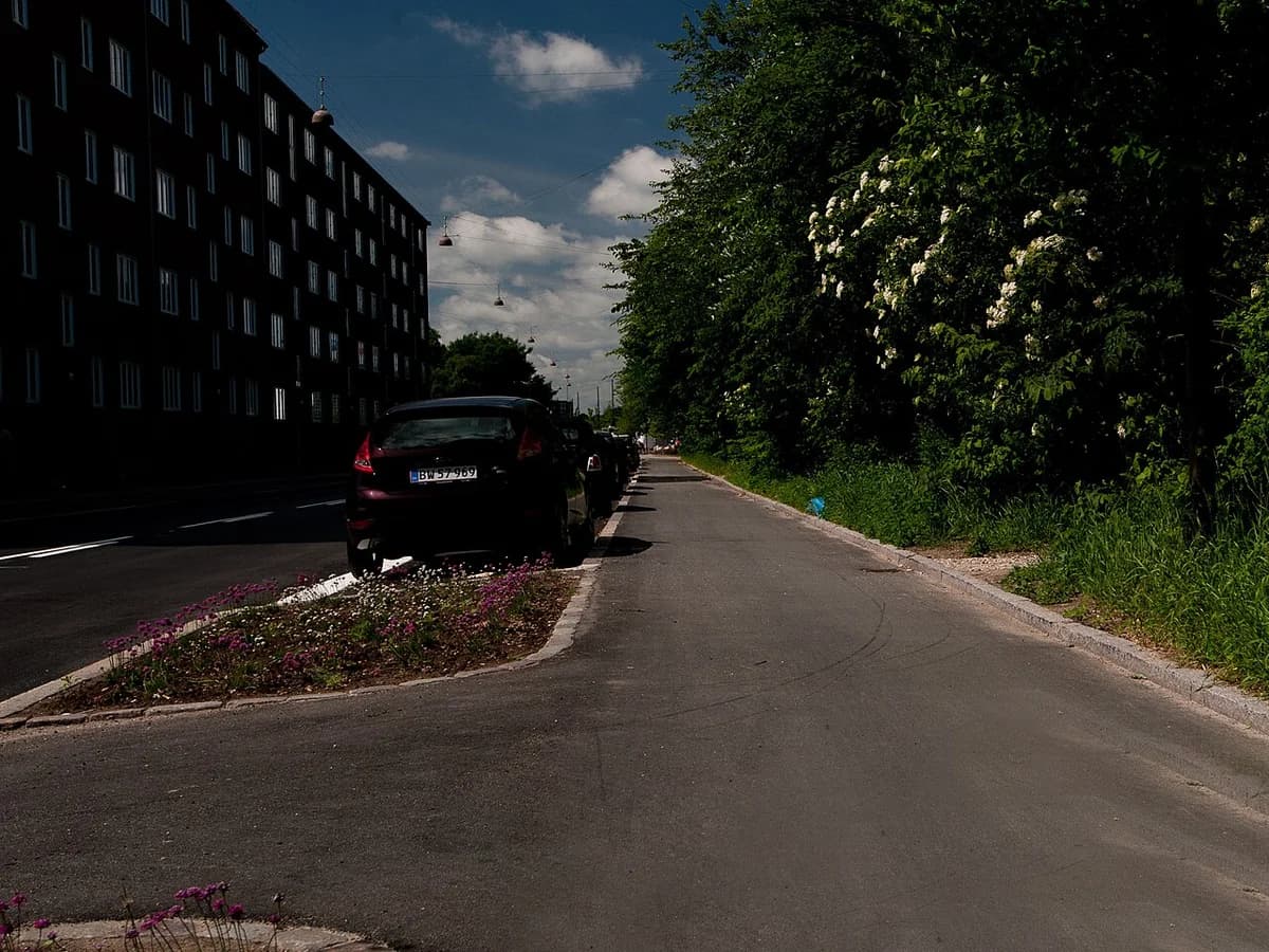 A separated bike lane next to a road with parked cars as a buffer in Copenhagen.